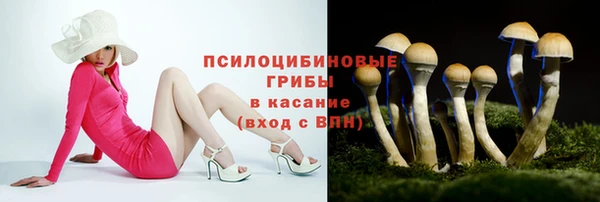 соль курить ск Алексин