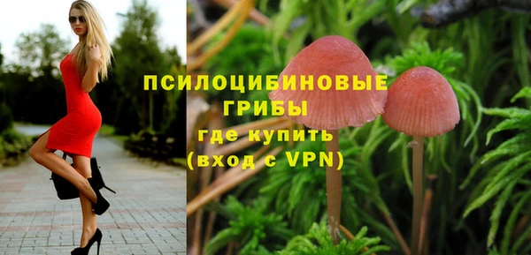 МДПВ Алексеевка