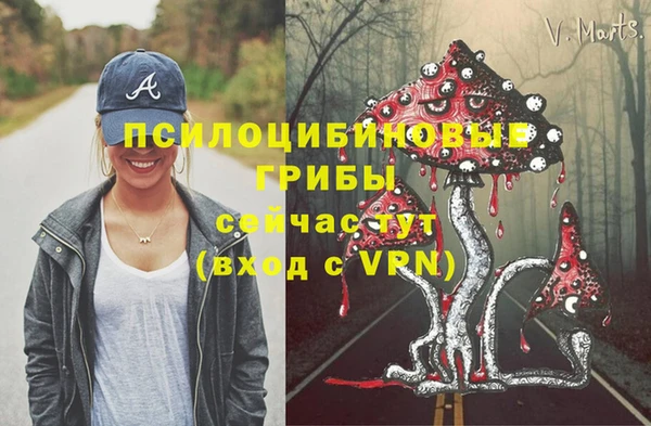 герыч Алзамай