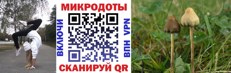 Галлюциногенные грибы Cubensis  наркота  ссылка на мегу ONION  Невинномысск 