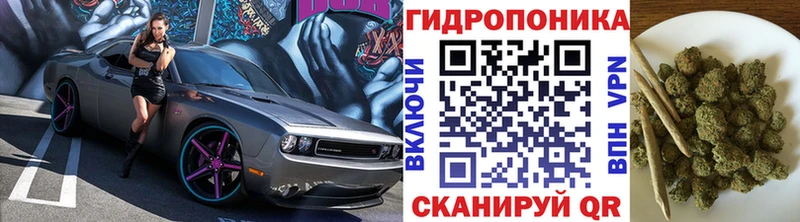 МАРИХУАНА семена  Невинномысск 
